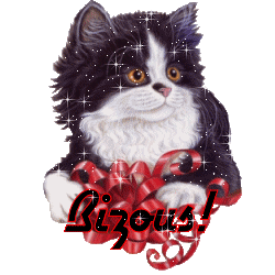 bisous chat